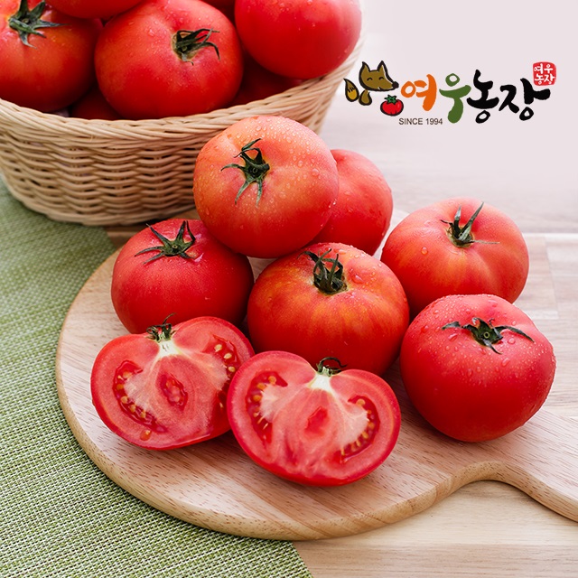 강원더몰,유기농 토마토(5kg, 10kg)